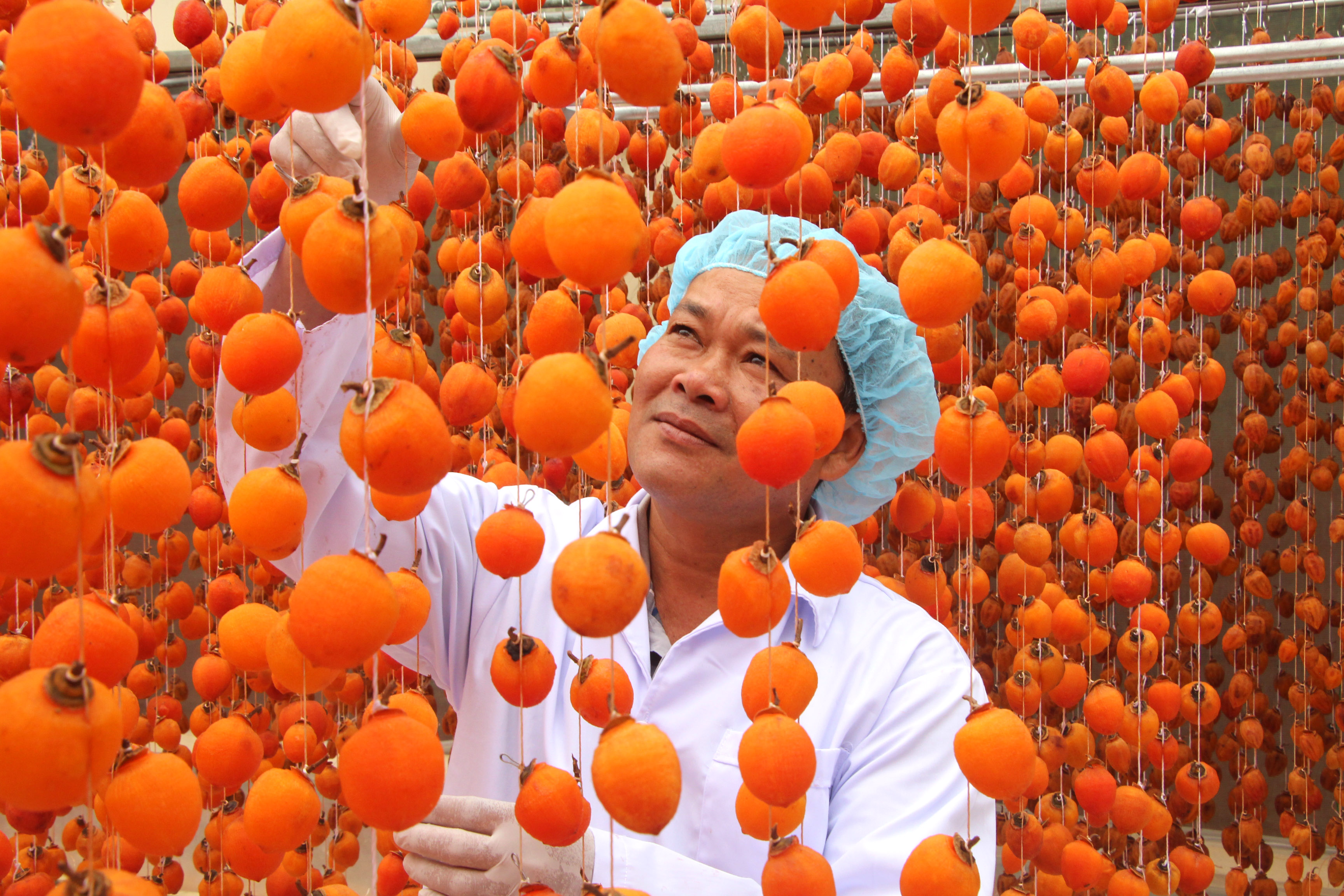 Động lực mới của kinh tế nông thôn

